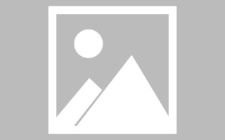 庄河网站建设书单（网站设计书模板）